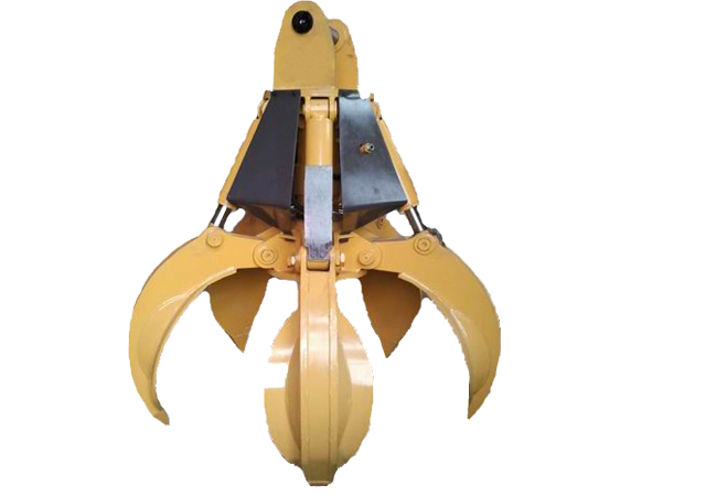 �����Dץ�Q��